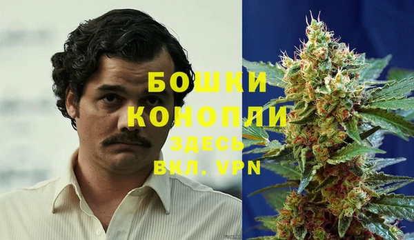 ГАЛЛЮЦИНОГЕННЫЕ ГРИБЫ Краснотурьинск