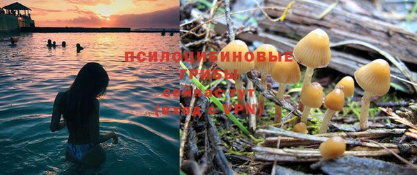 таблы Кукмор
