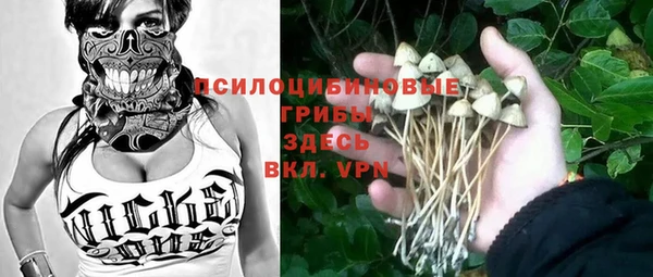 гашик Липки