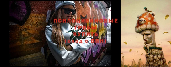 бошки Ростов