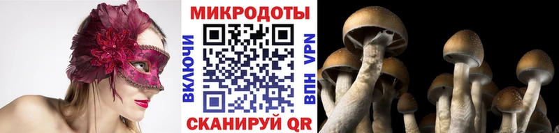 что такое   Кумертау  Псилоцибиновые грибы мицелий 