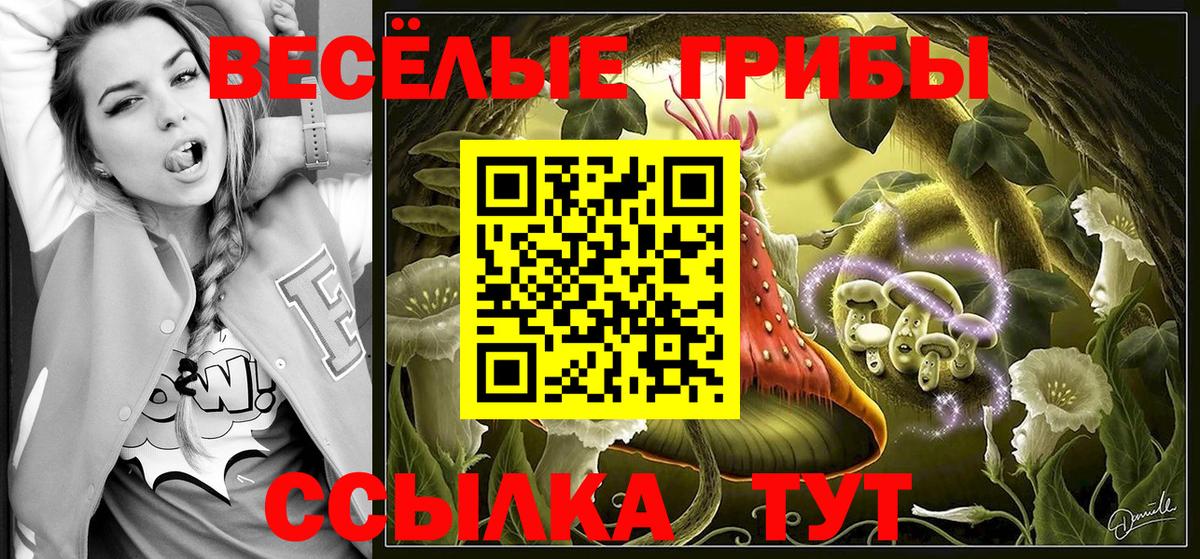 Кумертау  Галлюциногенные грибы GOLDEN TEACHER  Вход с VPN  Галлюциногенные грибы ЛСД 
